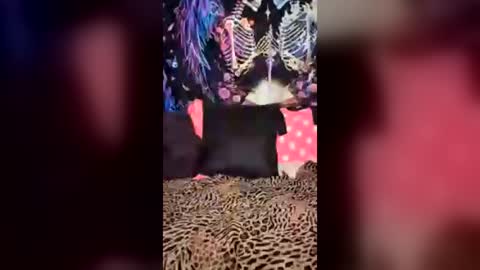 Image of Full archive of sexylilb17 nude recordings. Monitor and record sexylilb17 for free from Chaturbate.
