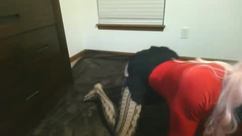 Image of Full archive of sissymaya_12 nude recordings. Monitor and record sissymaya_12 for free from Chaturbate.