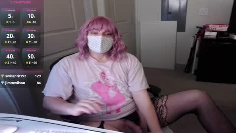Image of Full archive of sissysteph5 nude recordings. Monitor and record sissysteph5 for free from Chaturbate.