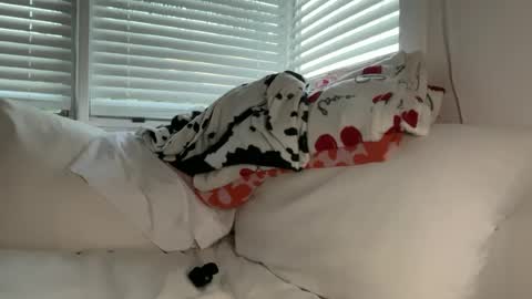 Image of Full archive of skyyybluee nude recordings. Monitor and record skyyybluee for free from Chaturbate.
