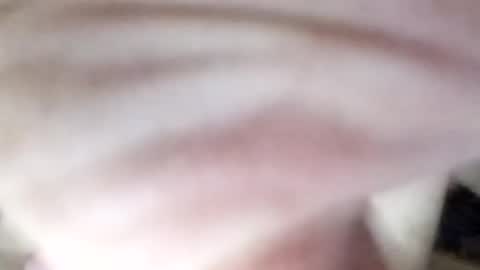 Image of Full archive of smithy2558 nude recordings. Monitor and record smithy2558 for free from Chaturbate.