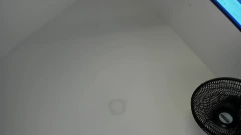 Image of Full archive of sofie_wildx nude recordings. Monitor and record sofie_wildx for free from Chaturbate.