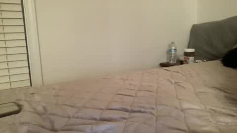 Image of Full archive of sofiecakes100 nude recordings. Monitor and record sofiecakes100 for free from Chaturbate.