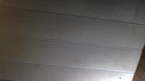Image of Full archive of southernbelle70625 nude recordings. Monitor and record southernbelle70625 for free from Chaturbate.