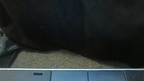 Image of Full archive of southerngay97 nude recordings. Monitor and record southerngay97 for free from Chaturbate.