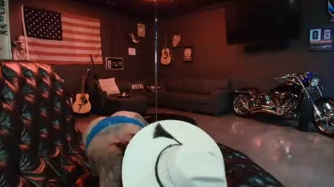 Image of Full archive of southernsweetnessdd nude recordings. Monitor and record southernsweetnessdd for free from Chaturbate.