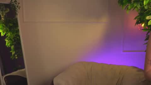 Image of Full archive of steffany_xo nude recordings. Monitor and record steffany_xo for free from Chaturbate.