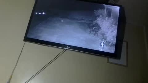 Image of Full archive of stretchedstrawberry nude recordings. Monitor and record stretchedstrawberry for free from Chaturbate.