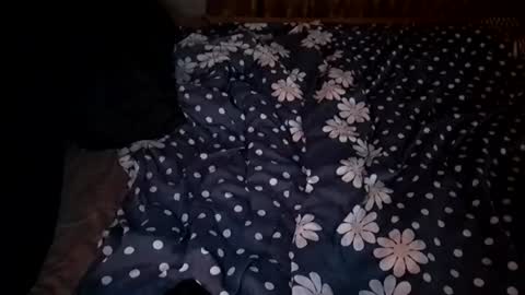 Image of Full archive of t_huracane nude recordings. Monitor and record t_huracane for free from Chaturbate.