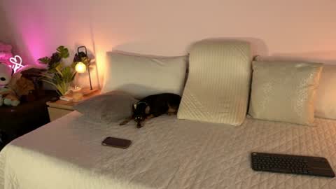 Image of Full archive of tamy_honey nude recordings. Monitor and record tamy_honey for free from Chaturbate.