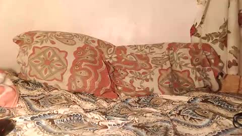 Image of Full archive of the_couple1 nude recordings. Monitor and record the_couple1 for free from Chaturbate.