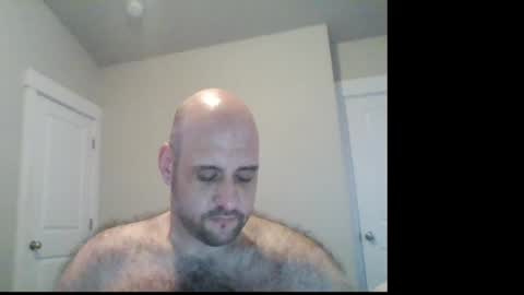 Image of Full archive of thicbear503 nude recordings. Monitor and record thicbear503 for free from Chaturbate.