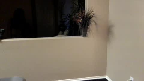 Image of Full archive of thickdickbigcumshots nude recordings. Monitor and record thickdickbigcumshots for free from Chaturbate.
