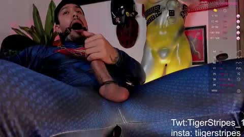 Image of Full archive of tigerstripes_ nude recordings. Monitor and record tigerstripes_ for free from Chaturbate.