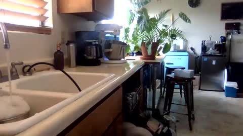 Image of Full archive of xooxie nude recordings. Monitor and record xooxie for free from Chaturbate.