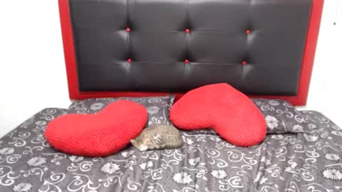 Image of Full archive of xshopyx nude recordings. Monitor and record xshopyx for free from Chaturbate.