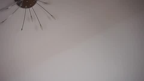 Image of Full archive of yolandabertha nude recordings. Monitor and record yolandabertha for free from Chaturbate.