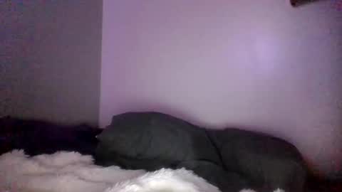 Image of Full archive of yungnympho25 nude recordings. Monitor and record yungnympho25 for free from Chaturbate.