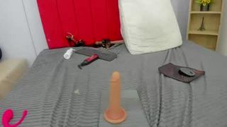 Model alexa_liss18